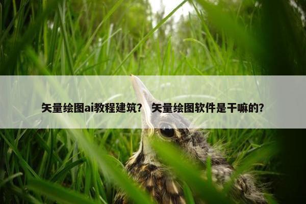 矢量绘图ai教程建筑？ 矢量绘图软件是干嘛的？