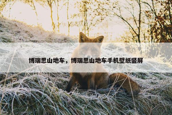 博瑞思山地车，博瑞思山地车手机壁纸竖屏