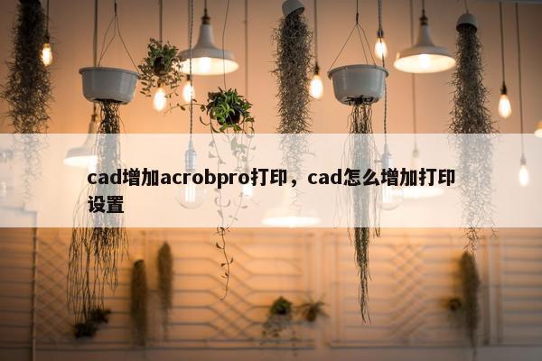 cad增加acrobpro打印，cad怎么增加打印设置