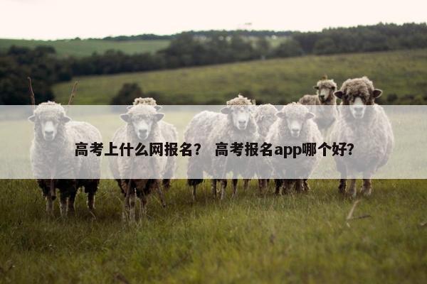 高考上什么网报名？ 高考报名app哪个好？