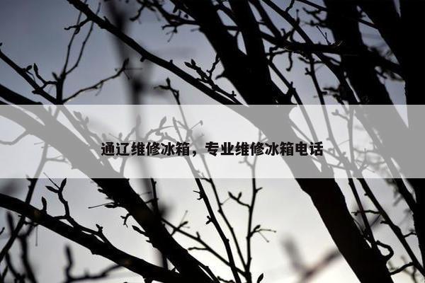 通辽维修冰箱，专业维修冰箱电话