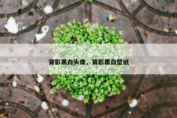 背影黑白头像，背影黑白壁纸