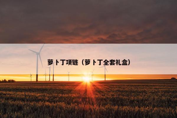 萝卜丁项链（萝卜丁全套礼盒）