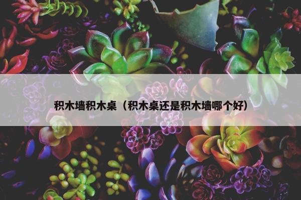 积木墙积木桌（积木桌还是积木墙哪个好）