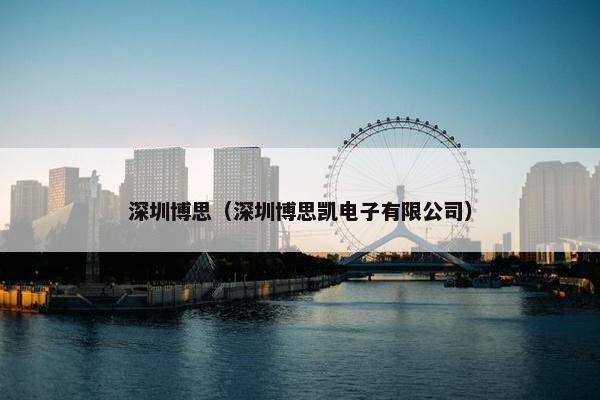 深圳博思（深圳博思凯电子有限公司）