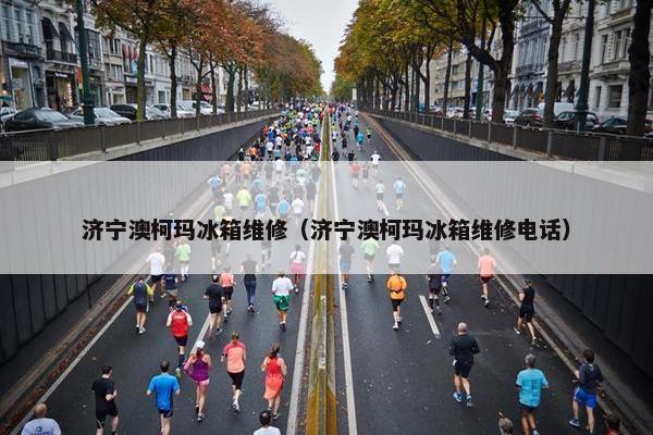 济宁澳柯玛冰箱维修（济宁澳柯玛冰箱维修电话）
