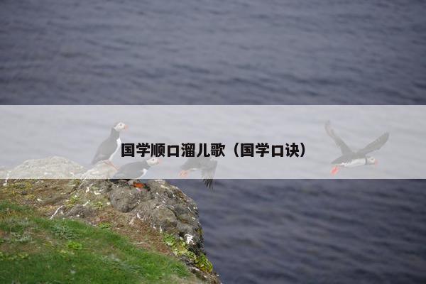 国学顺口溜儿歌（国学口诀）