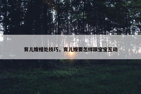 育儿嫂相处技巧，育儿嫂要怎样跟宝宝互动