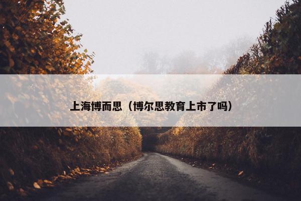 上海博而思（博尔思教育上市了吗）