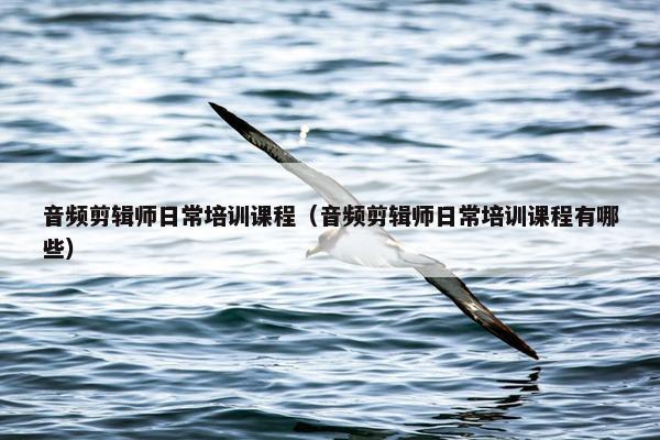 音频剪辑师日常培训课程（音频剪辑师日常培训课程有哪些）