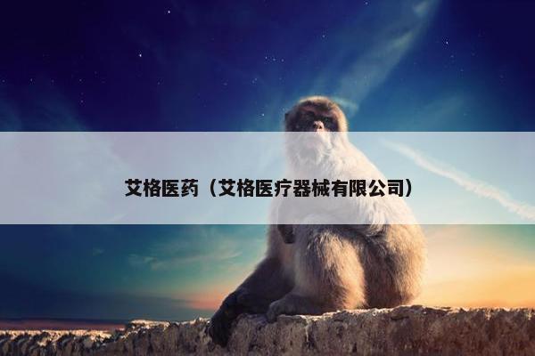 艾格医药（艾格医疗器械有限公司）