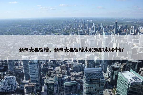 琵琶大果紫檀，琵琶大果紫檀木和鸡翅木哪个好