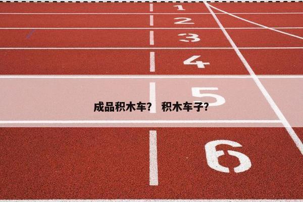 成品积木车？ 积木车子？