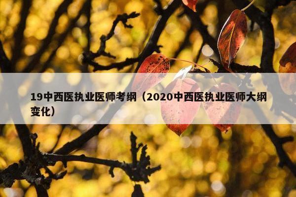 19中西医执业医师考纲（2020中西医执业医师大纲变化）