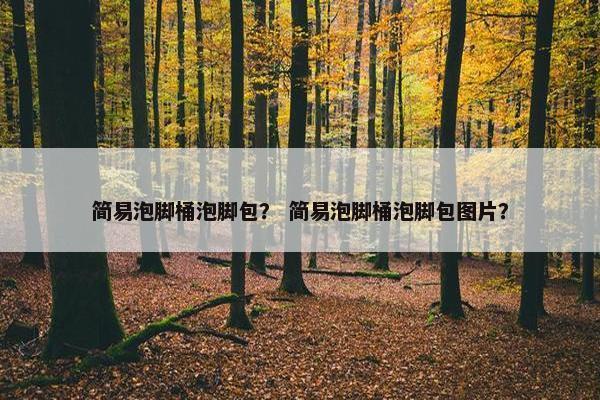 简易泡脚桶泡脚包？ 简易泡脚桶泡脚包图片？