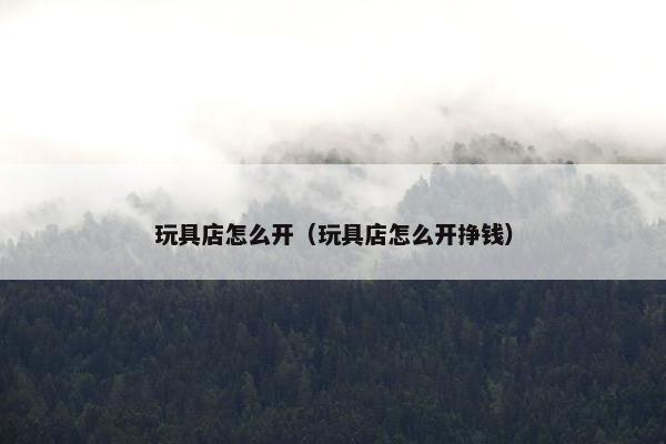 玩具店怎么开（玩具店怎么开挣钱）
