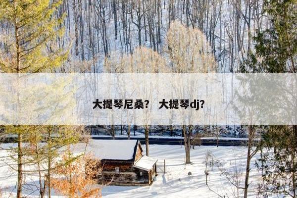大提琴尼桑？ 大提琴dj？