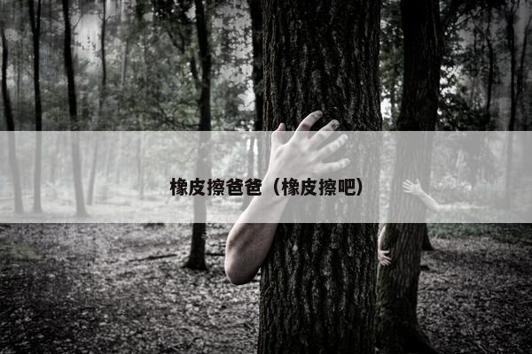 橡皮擦爸爸（橡皮擦吧）
