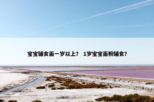 宝宝辅食面一岁以上？ 1岁宝宝面粉辅食？