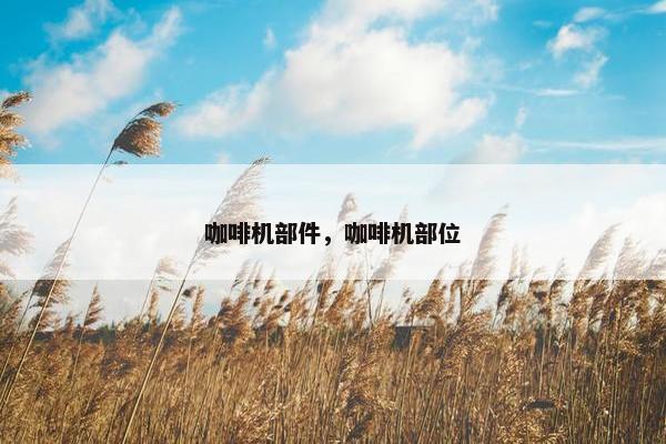 咖啡机部件，咖啡机部位
