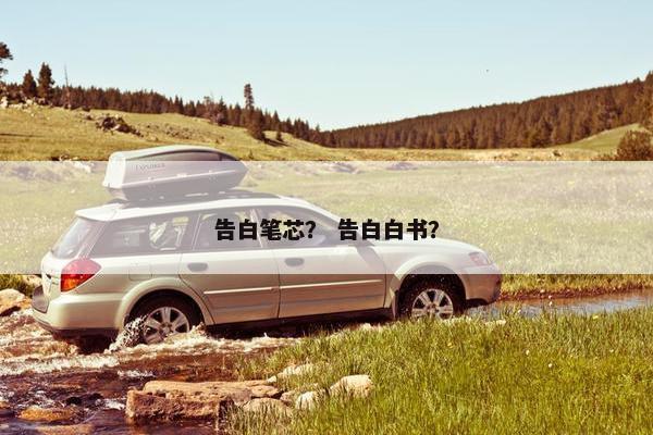 告白笔芯？ 告白白书？