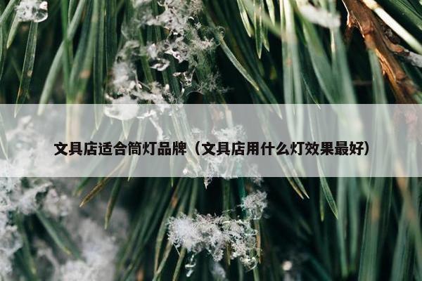 文具店适合筒灯品牌（文具店用什么灯效果最好）