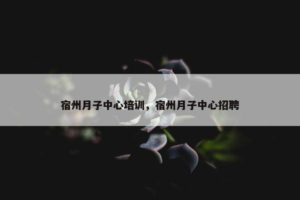 宿州月子中心培训，宿州月子中心招聘
