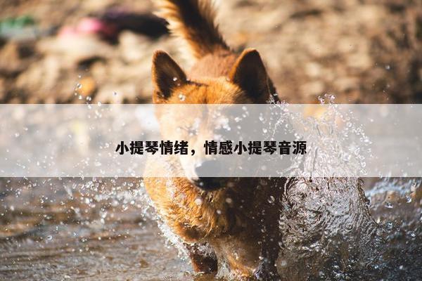 小提琴情绪，情感小提琴音源