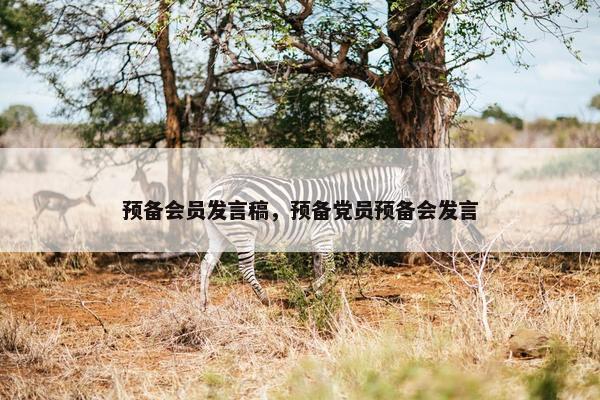 预备会员发言稿，预备党员预备会发言