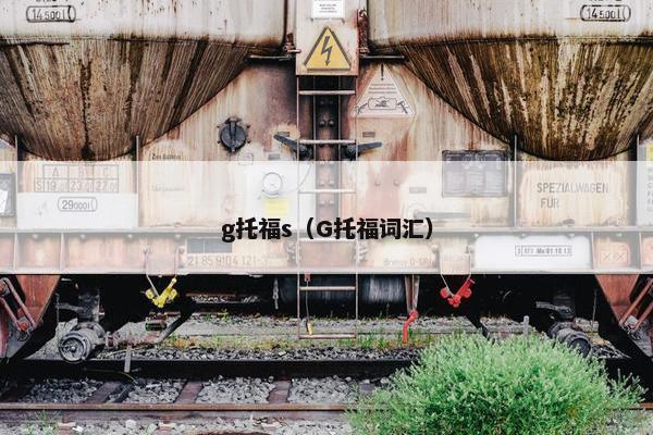g托福s（G托福词汇）