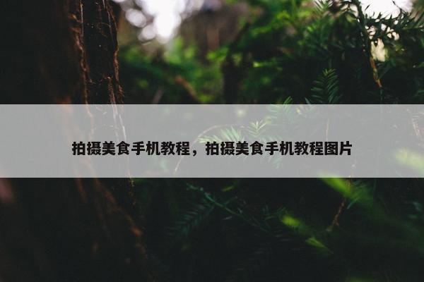 拍摄美食手机教程，拍摄美食手机教程图片