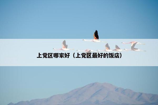 上党区哪家好（上党区最好的饭店）