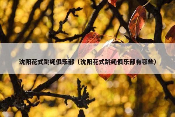 沈阳花式跳绳俱乐部（沈阳花式跳绳俱乐部有哪些）