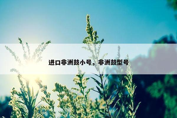 进口非洲鼓小号，非洲鼓型号
