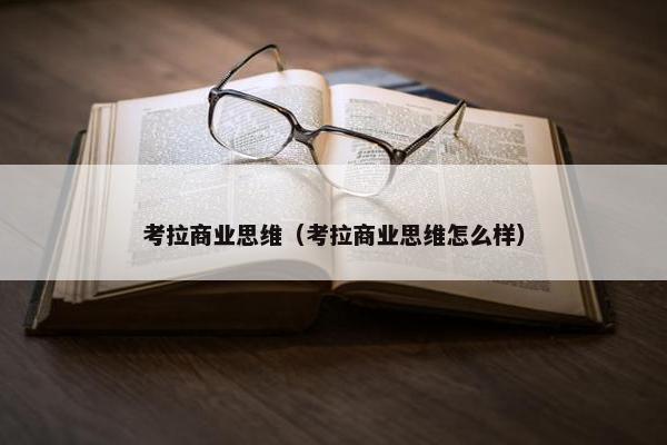 考拉商业思维（考拉商业思维怎么样）