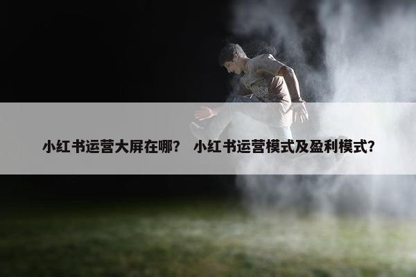 小红书运营大屏在哪？ 小红书运营模式及盈利模式？