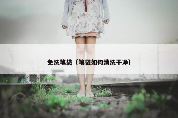免洗笔袋（笔袋如何清洗干净）