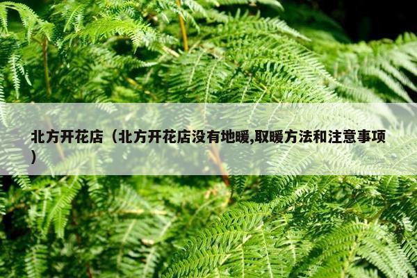 北方开花店（北方开花店没有地暖,取暖方法和注意事项）