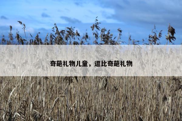 奇葩礼物儿童，逗比奇葩礼物