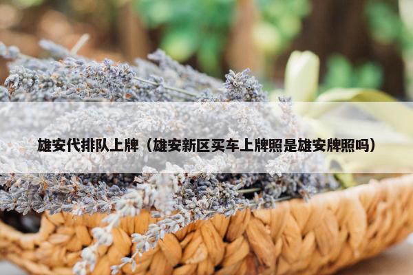 雄安代排队上牌（雄安新区买车上牌照是雄安牌照吗）