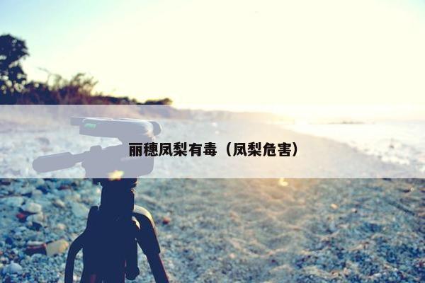 丽穗凤梨有毒（凤梨危害）