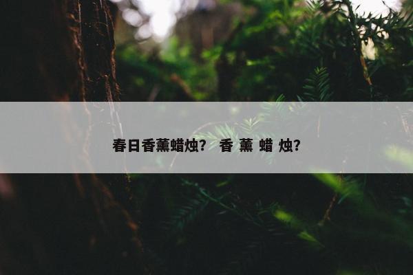 春日香薰蜡烛？ 香 薰 蜡 烛？