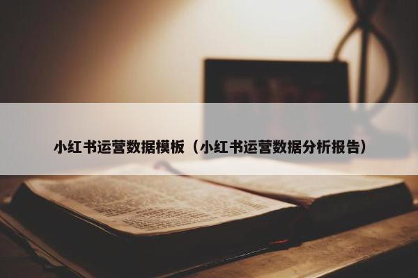 小红书运营数据模板（小红书运营数据分析报告）