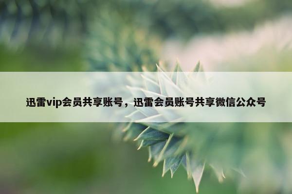 迅雷vip会员共享账号，迅雷会员账号共享微信公众号