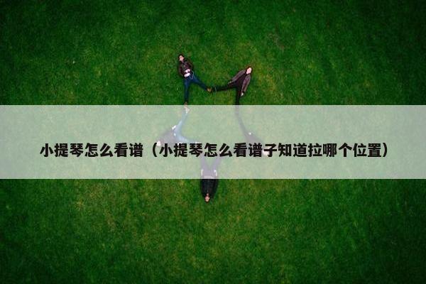 小提琴怎么看谱（小提琴怎么看谱子知道拉哪个位置）