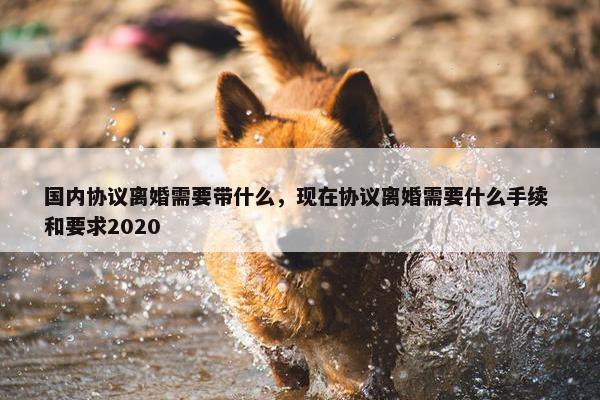 国内协议离婚需要带什么，现在协议离婚需要什么手续 和要求2020
