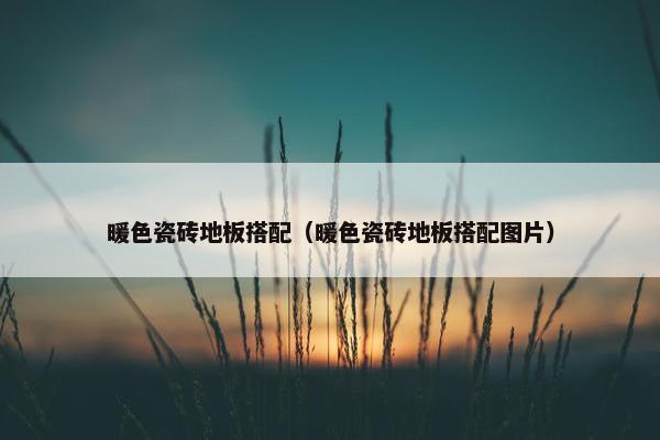 暖色瓷砖地板搭配（暖色瓷砖地板搭配图片）