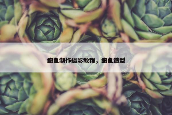 鲍鱼制作摄影教程，鲍鱼造型