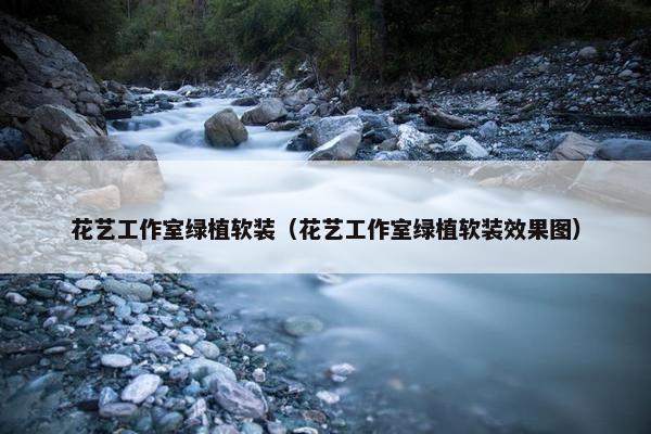 花艺工作室绿植软装（花艺工作室绿植软装效果图）