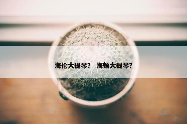 海伦大提琴？ 海顿大提琴？